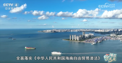 博鳌经济新察看｜海南自贸港拓展全球“